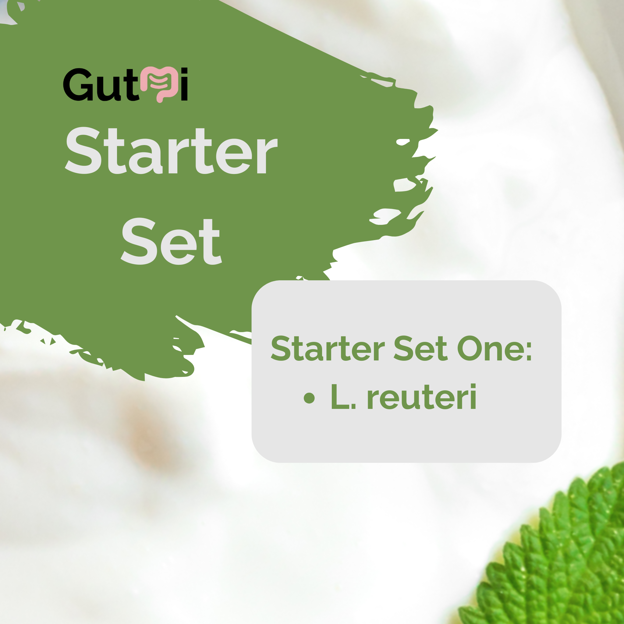 L. reuteri | Yoghurt Starter Set | Starterculturen | 3-delige set