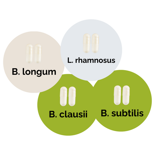 L. brevis + L. rhamnosus + B. subtilis + B. clausii | Yoghurt Starter Set | Starterculturen | 3er Pack