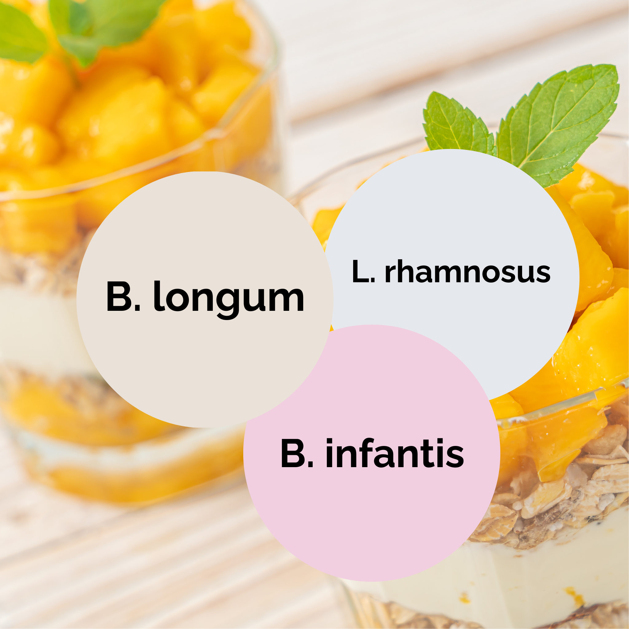 L. rhamnosus + B. infantis + B. longum | Yoghurt Starter Set | Starterculturen | 3-delige set