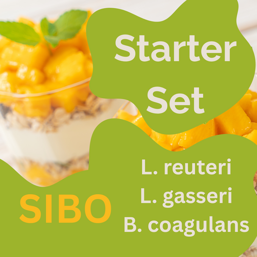 Set de inicio L. reuteri, L. gasseri, yogur B. coagulans | yogur SIBO 