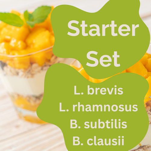 Starterset L. brevis, L. rhamnosus, B. subtilis, B. clausii-yoghurt | Sporenbalance