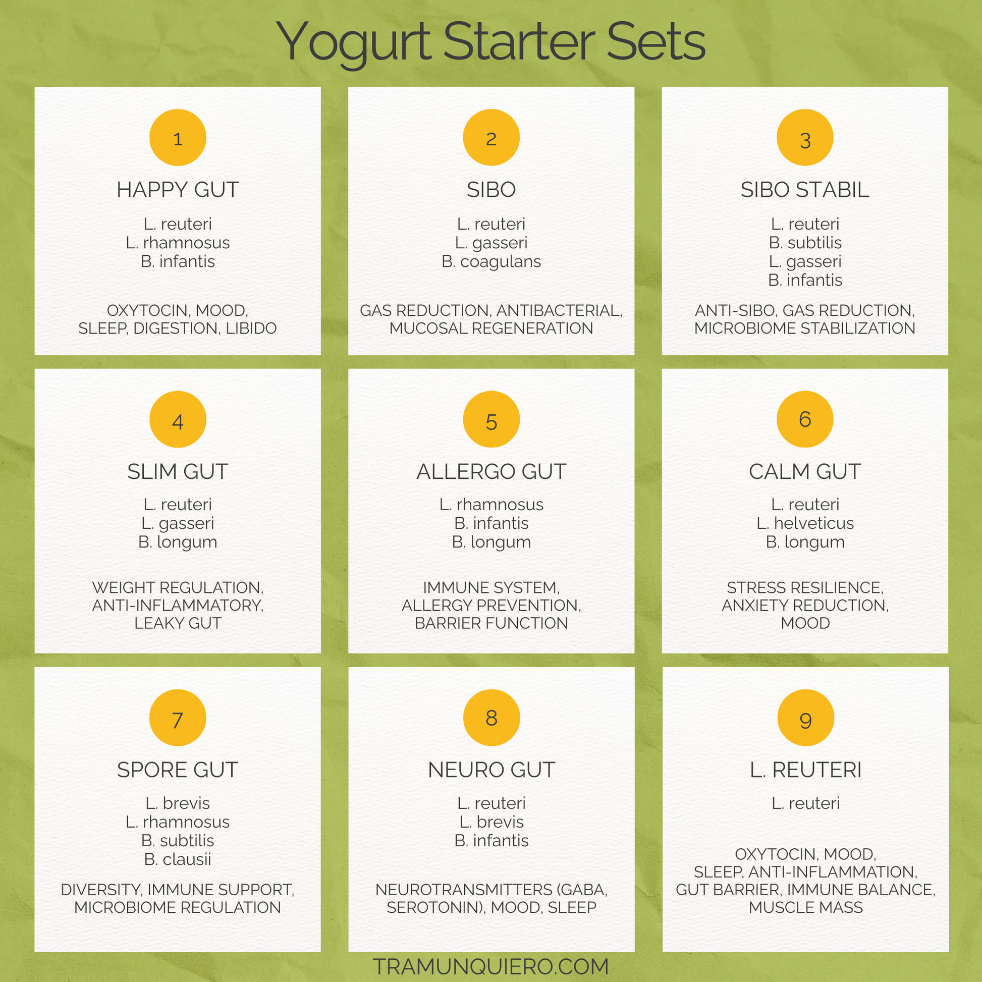 Starter-Set „Neuro Gut" | L. reuteri, L. brevis, B. infantis-Joghurt